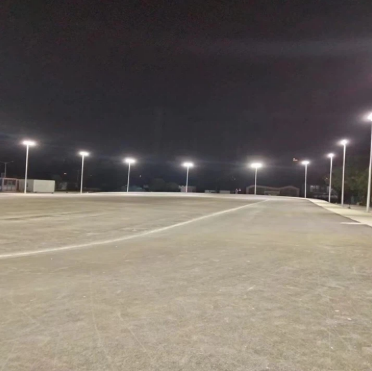 02265131АСДАСДАД